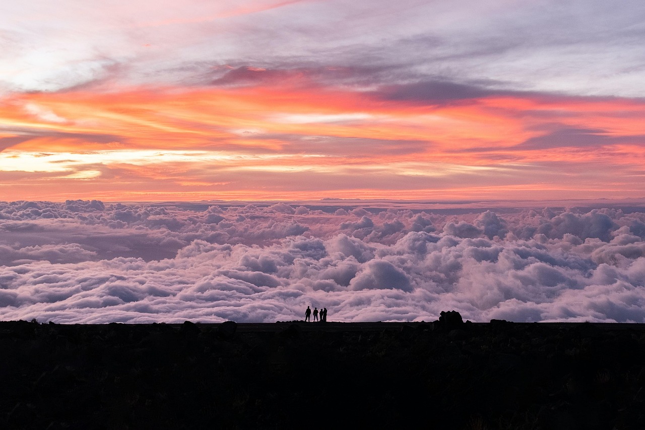 Comparing IVF Clinics in Hawaii: What Sets Hanabusa IVF Apart for Intended Parents